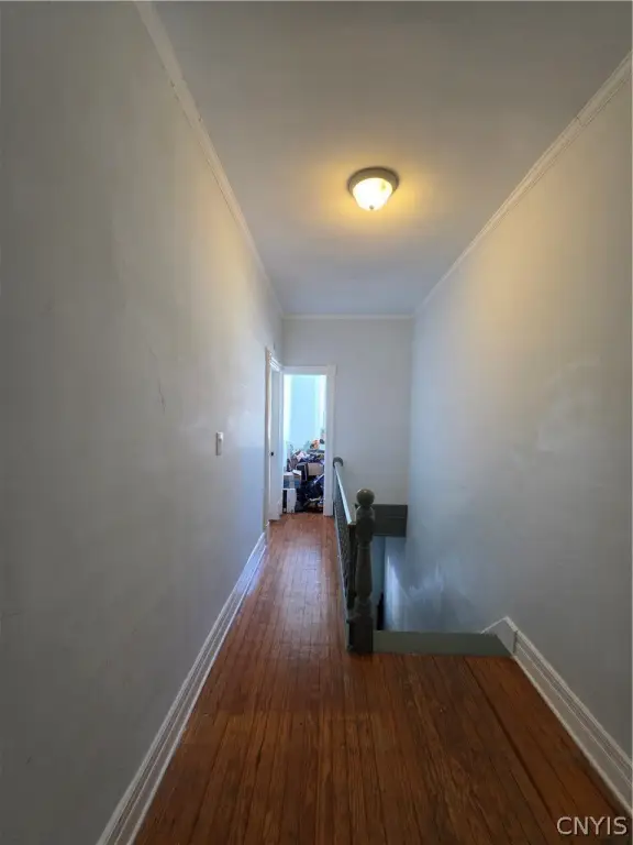 Picture 36