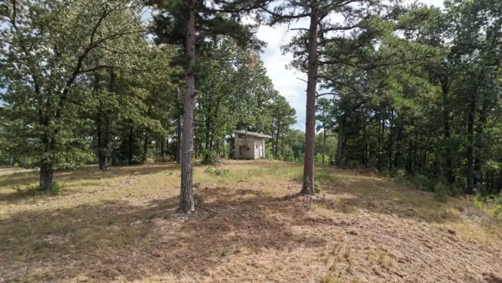 Picture 6