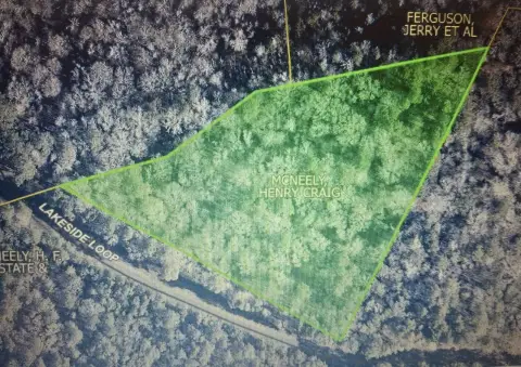 Unrestricted Land Near Toledo Bend