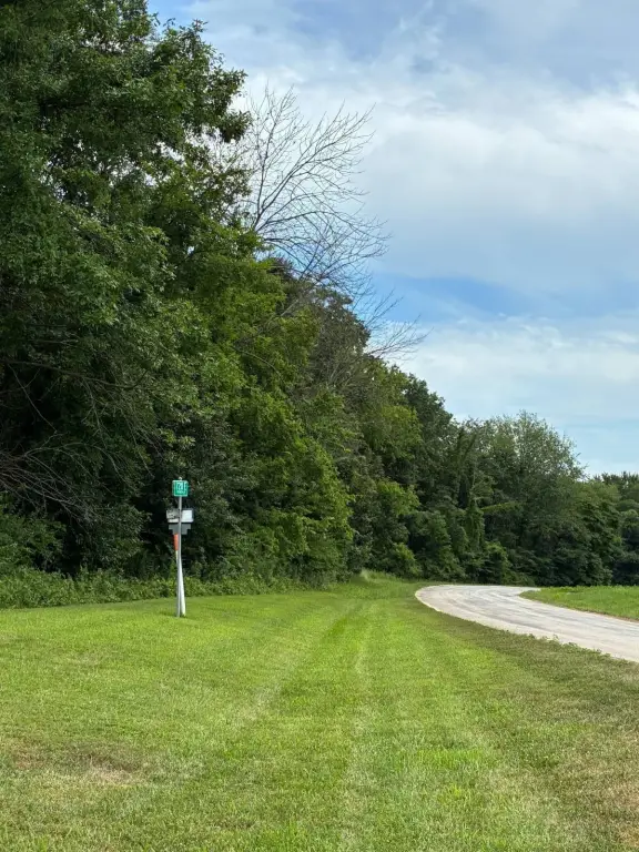 Picture 5