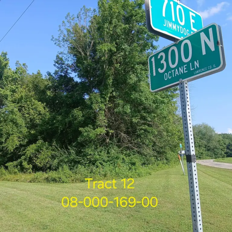 Picture 7