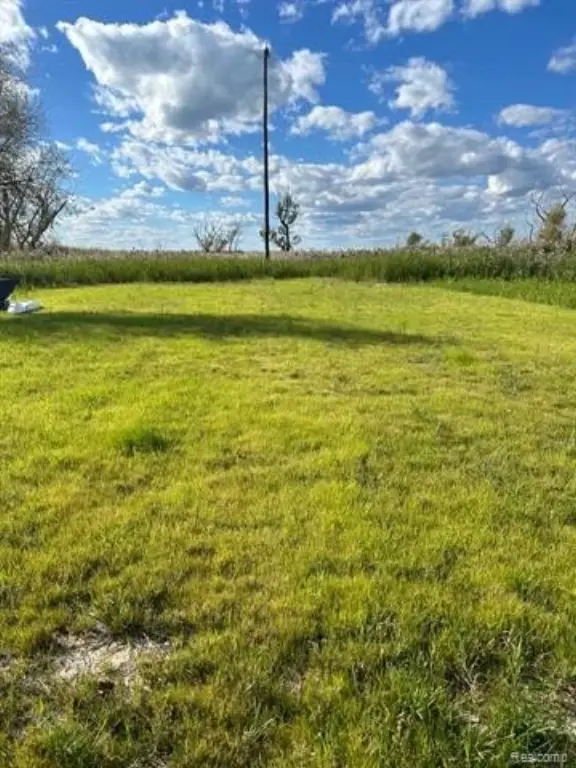 Picture 3