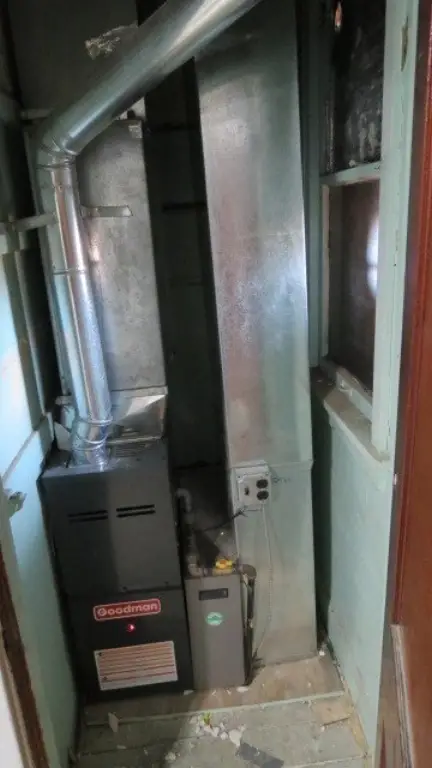 Picture 15
