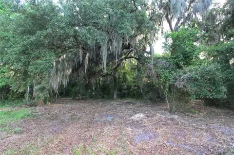 Wooded Acreage Parcel