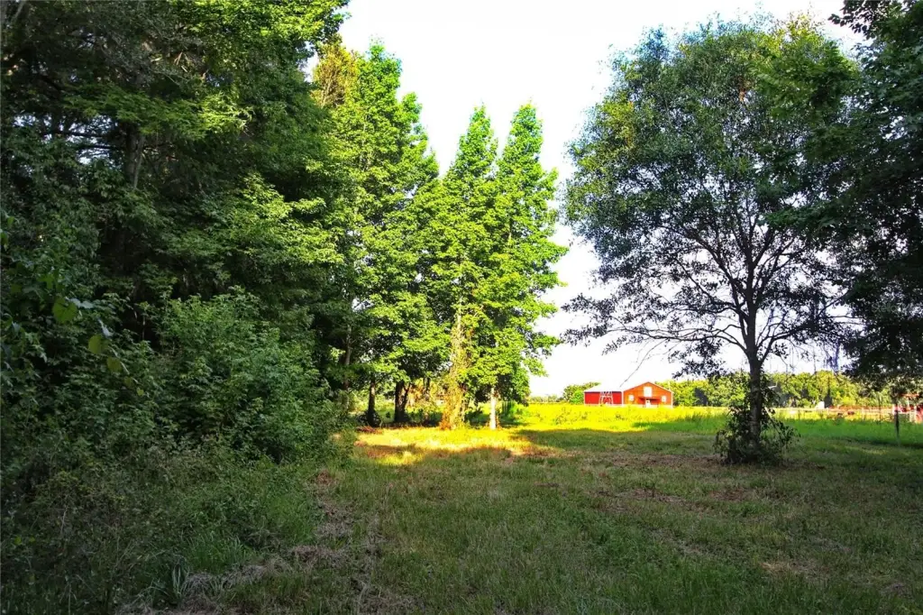 Picture 15
