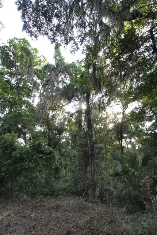 Picture 24