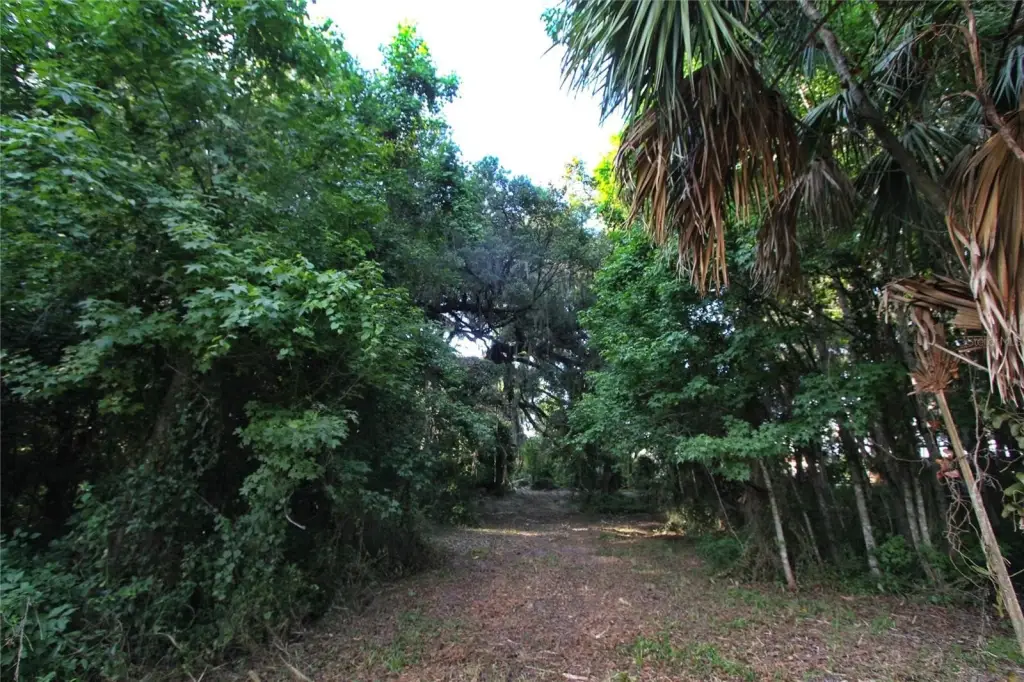 Picture 10