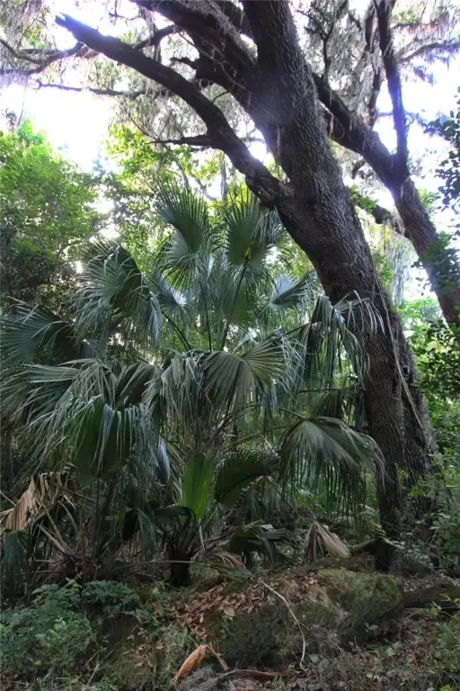 Picture 32