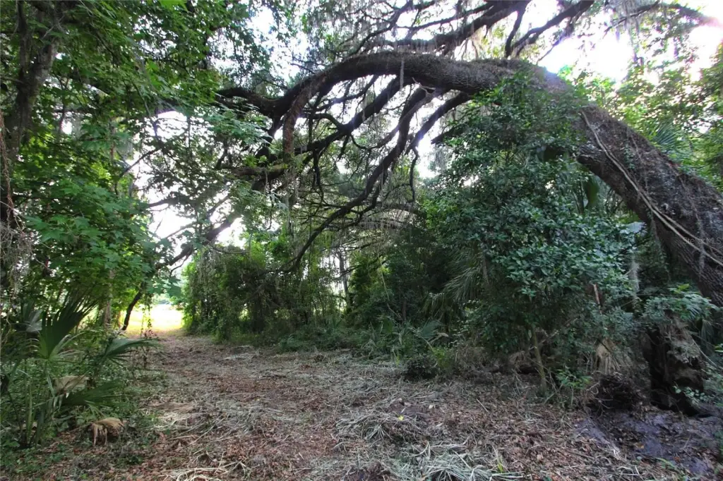 Picture 31