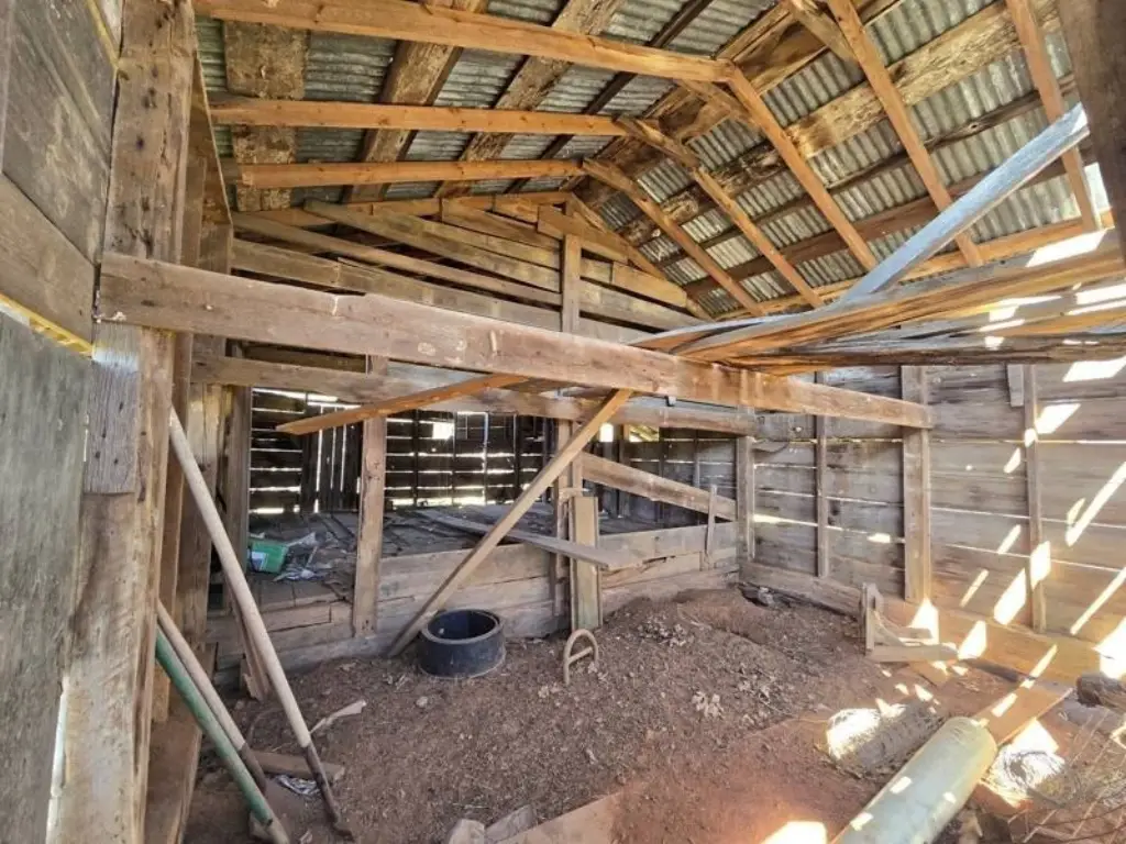 Picture 8