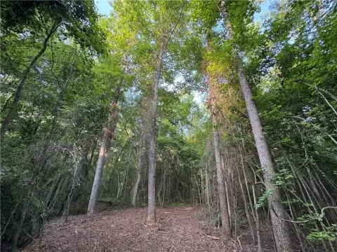 Land For Sale in Camp Hill