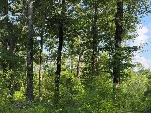 Land For Sale in Camp Hill