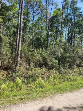 Boiling Spring Lakes Acre Lot