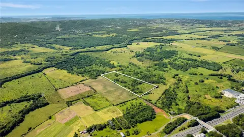 Expansive Agricultural Land in Hormigueros