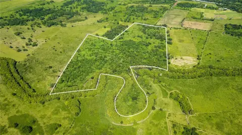 Expansive Agricultural Land in Hormigueros
