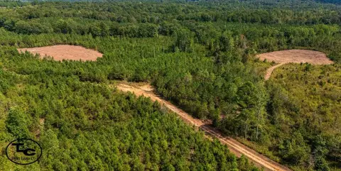 58 Acres Hunting/Timber Investment Land