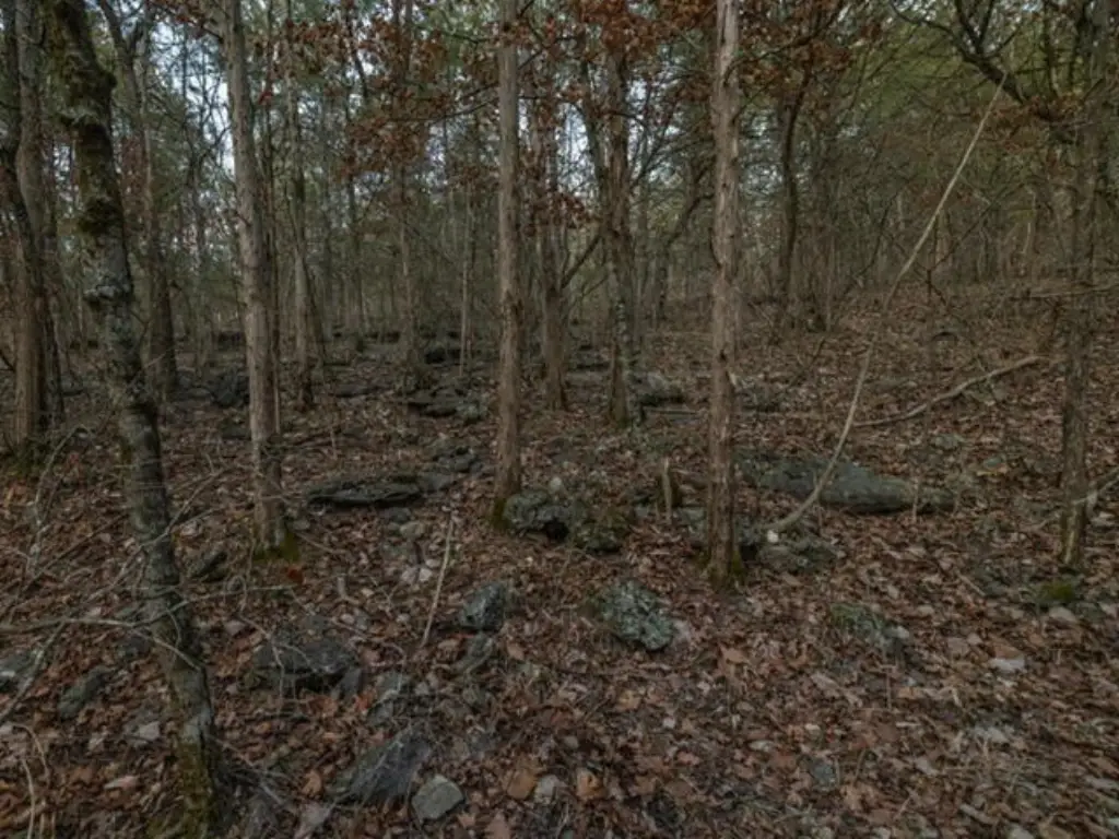 Picture 17