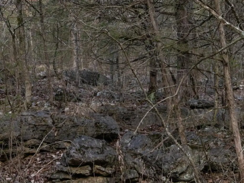 Picture 9