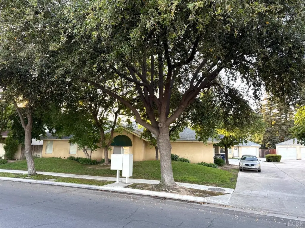 Picture 5