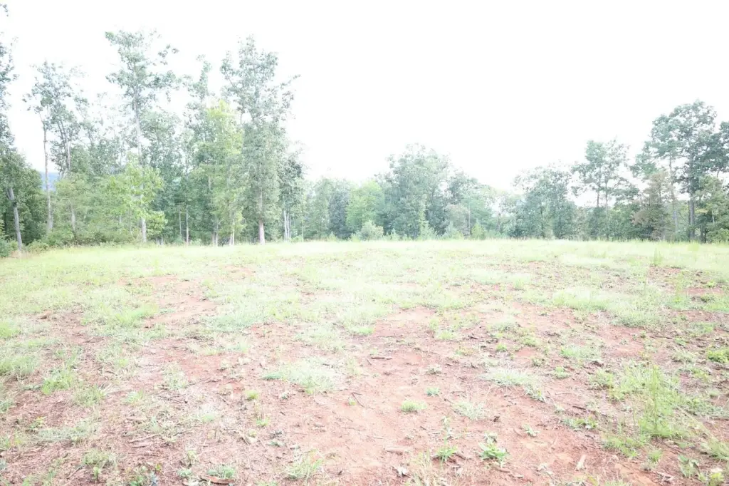 Picture 19
