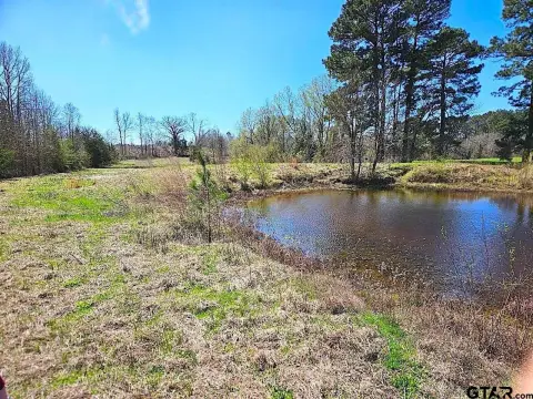 Hughes Springs Acreage with Pond