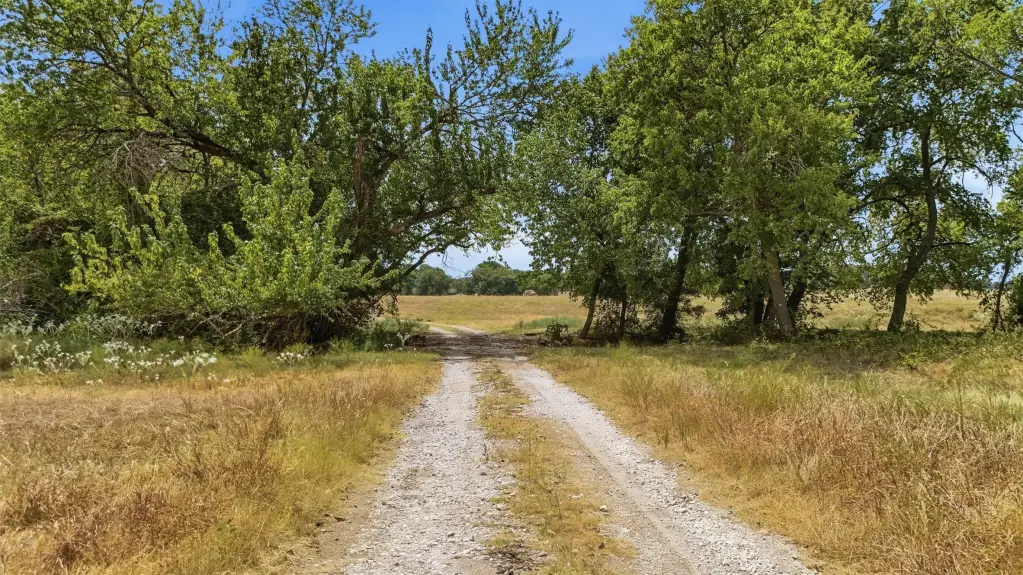 Picture 30