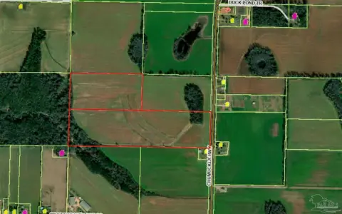 60 Acres in Jay, Florida