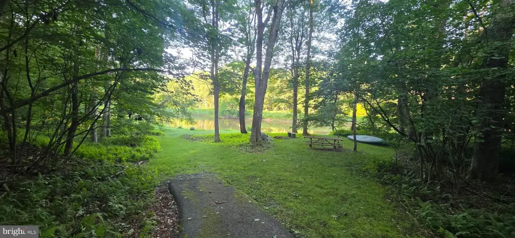 Picture 18