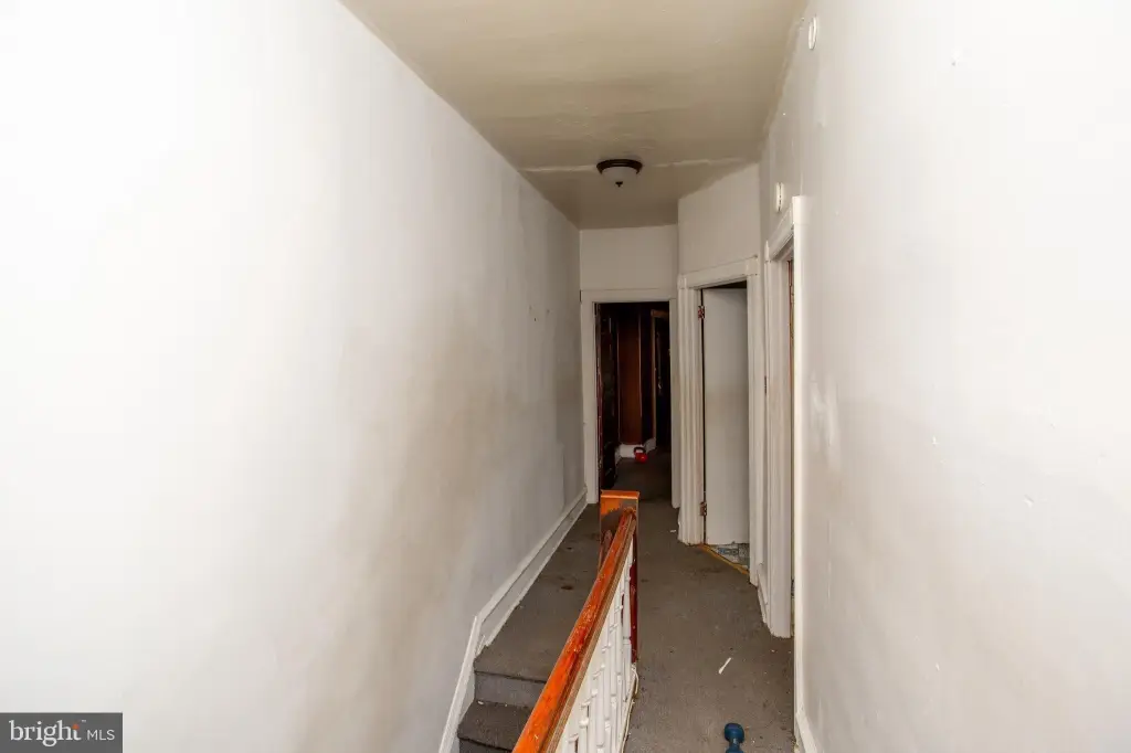 Picture 41