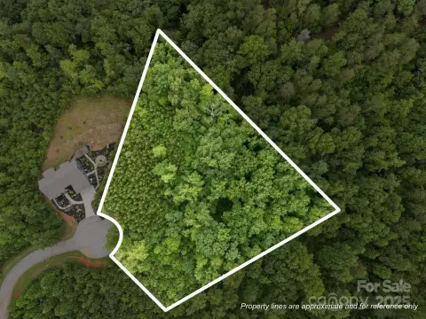 Lake Lure Mountain Homesite