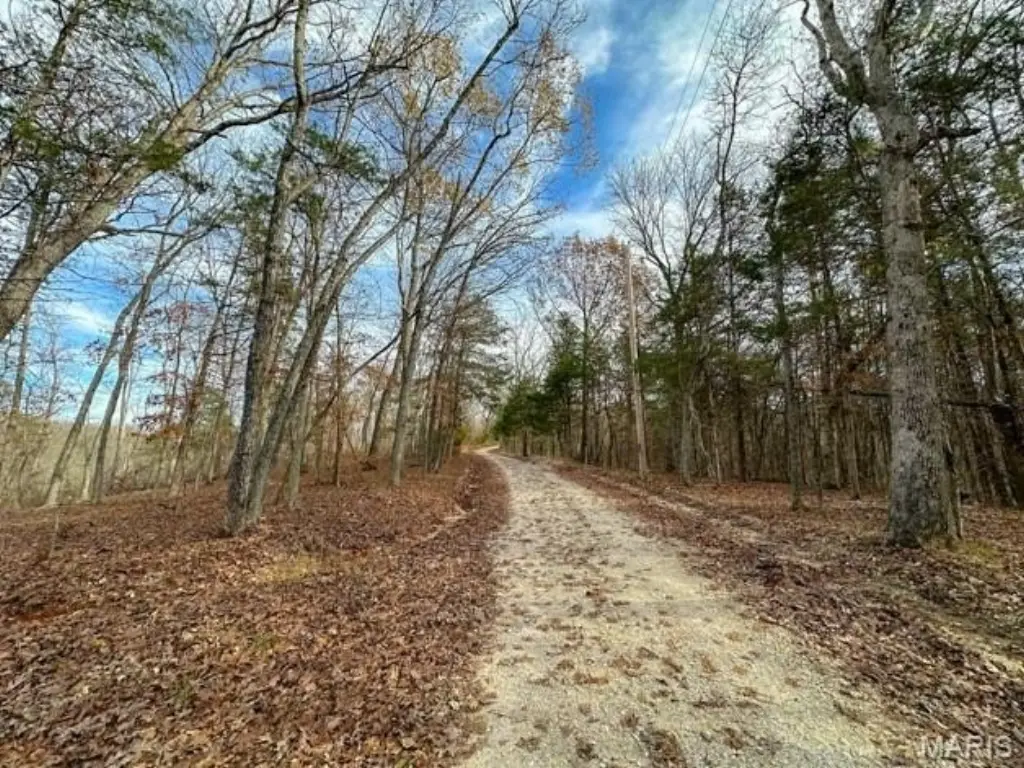 Picture 8