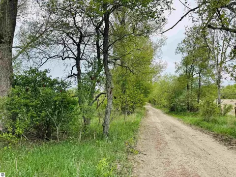 Wooded Acreage in Northern Michigan
