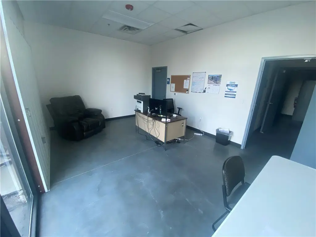 Picture 5