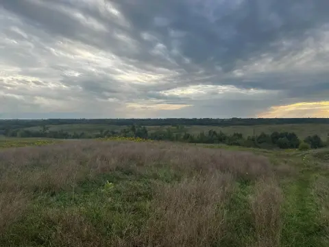 117 Acres Vacant Land in Maysville