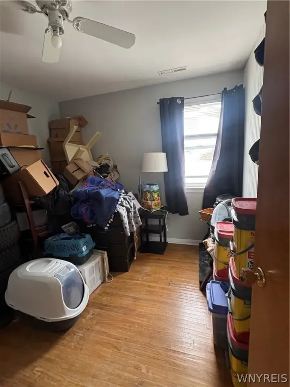 Picture 22