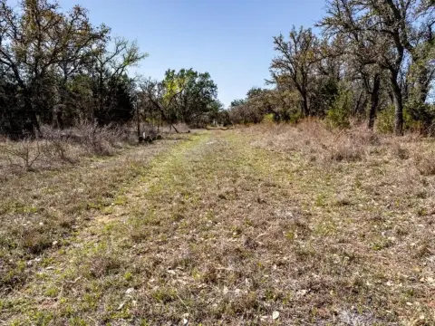 53.9 Acres of Wooded Land