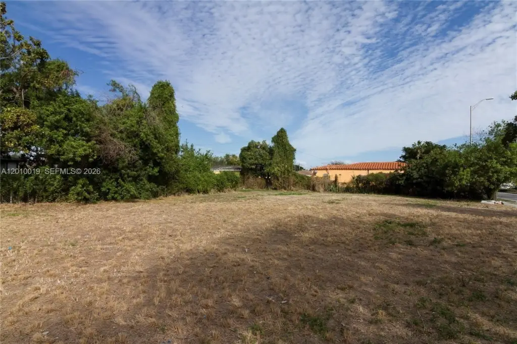 Picture 3