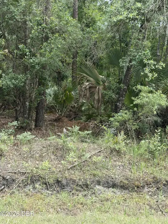Picture 3