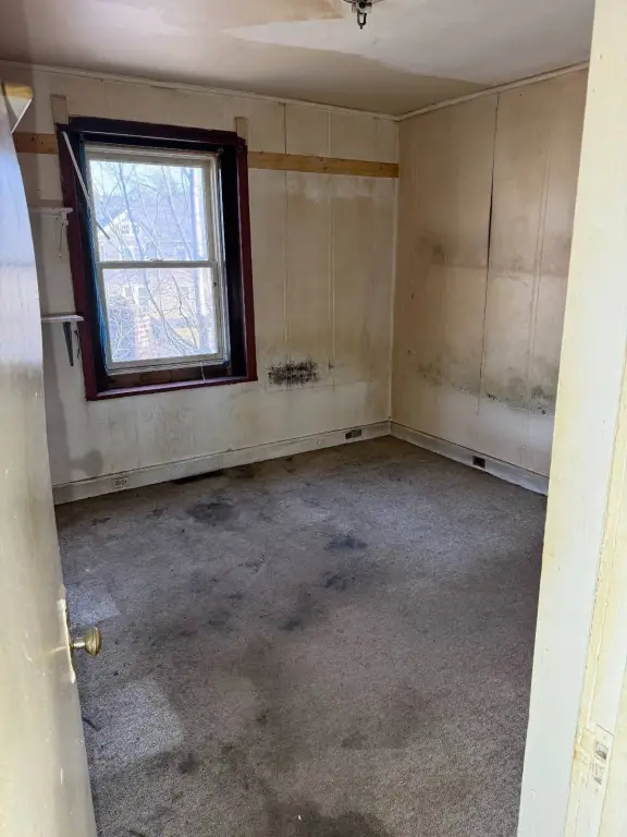 Picture 28
