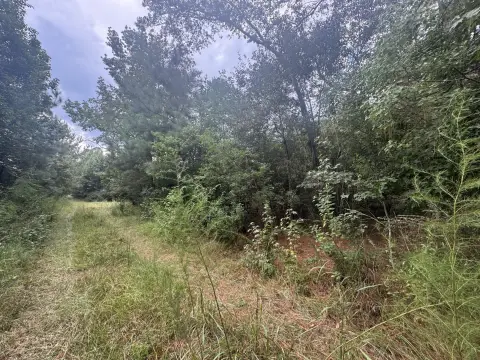 Residential Land in Hattiesburg, MS