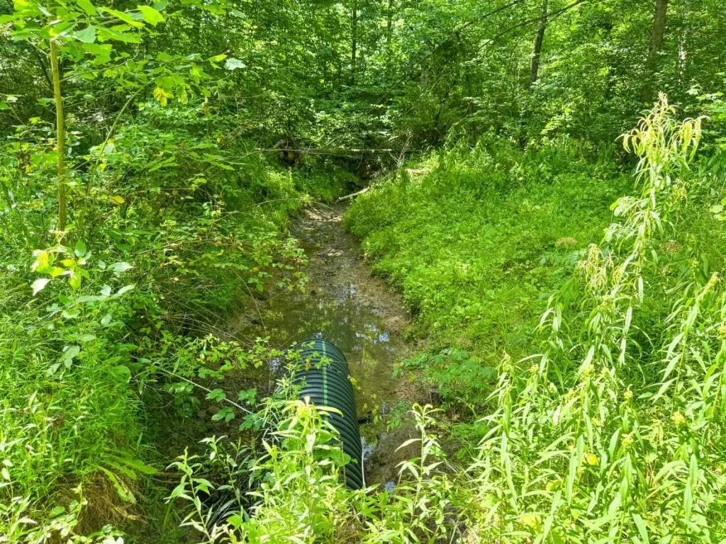 Picture 17