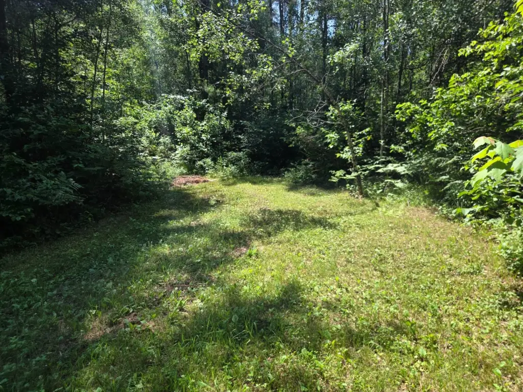 Picture 3