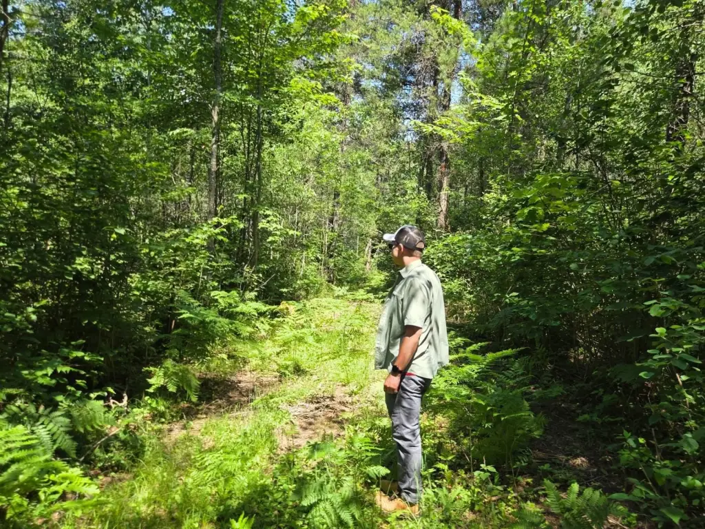 Picture 4