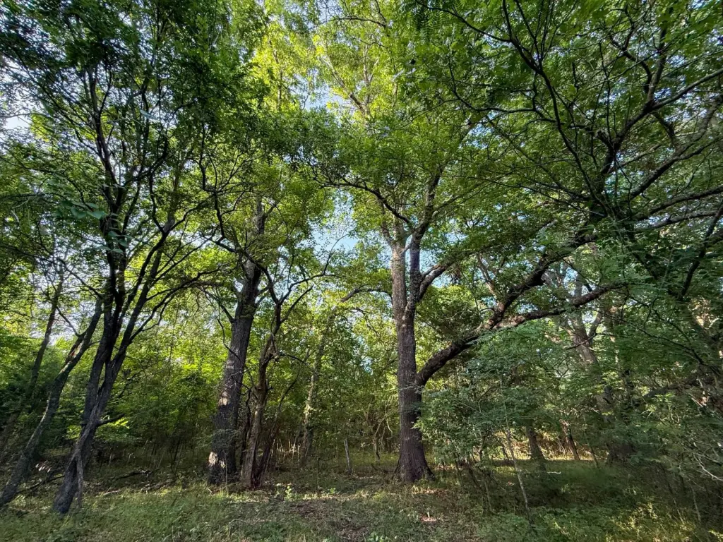 Picture 25