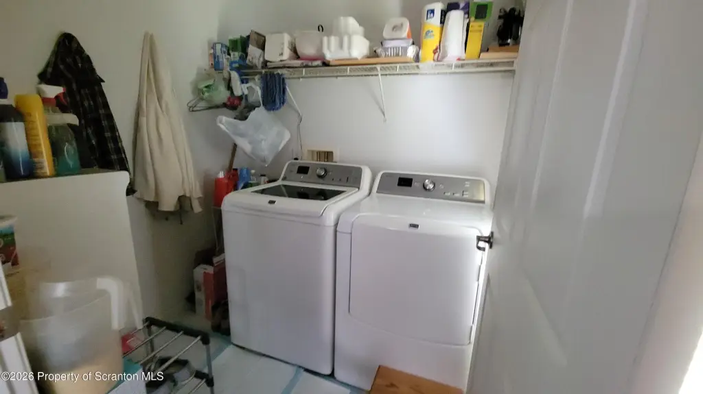 Picture 37