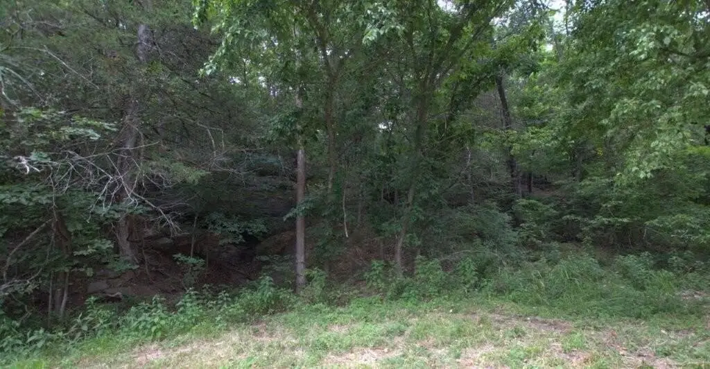 Picture 2