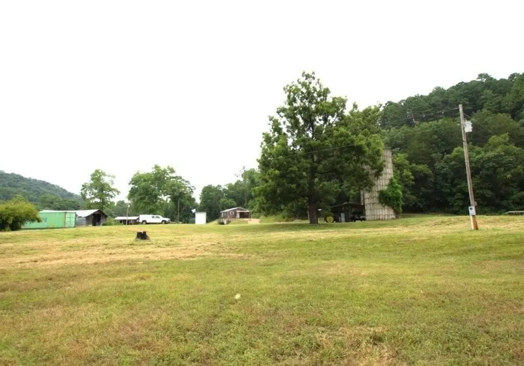 Picture 8