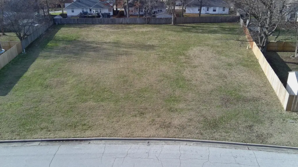 Picture 2