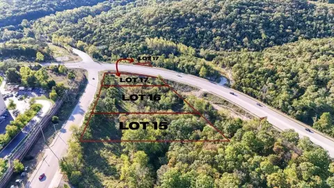 Commercial Land in Branson, MO