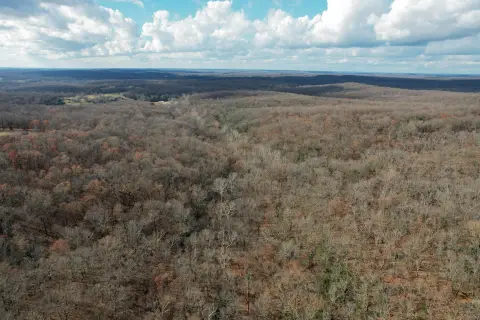 100 Acres Hunting & Recreation Land
